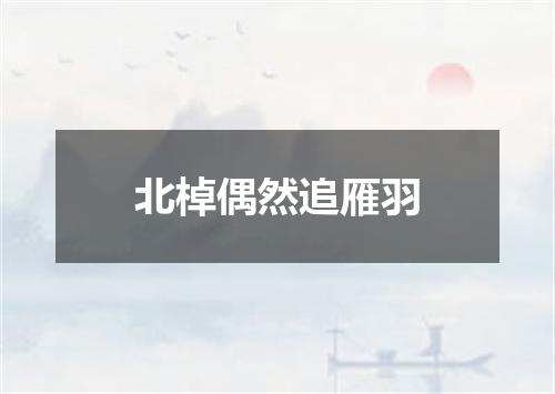 北棹偶然追雁羽