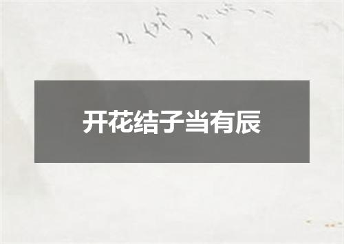 开花结子当有辰