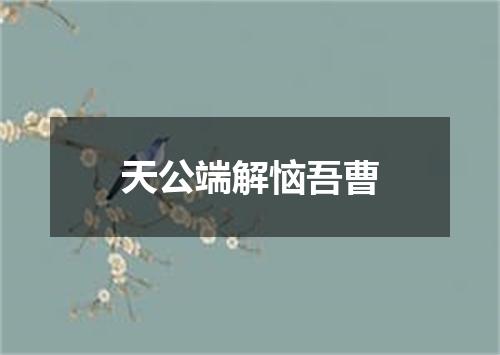 天公端解恼吾曹