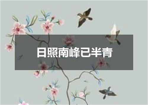 日照南峰已半青