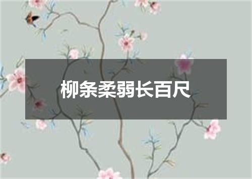 柳条柔弱长百尺