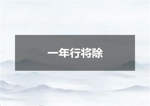 一年行将除