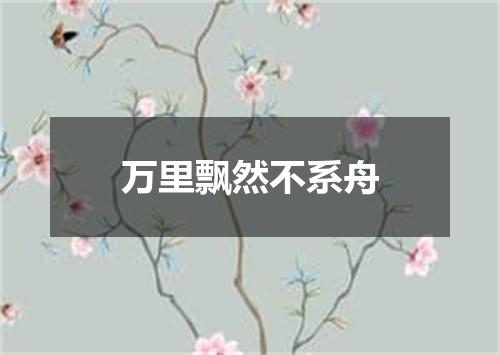万里飘然不系舟