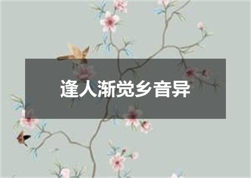 逢人渐觉乡音异