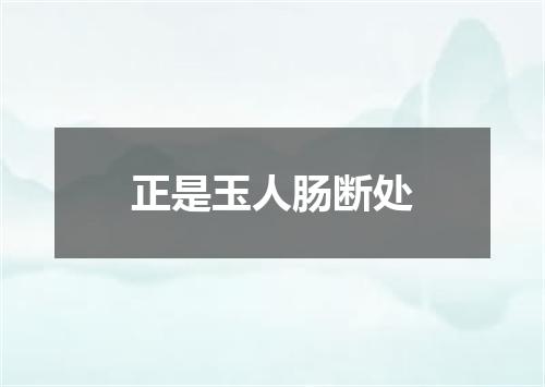 正是玉人肠断处