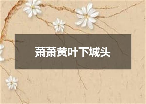 萧萧黄叶下城头