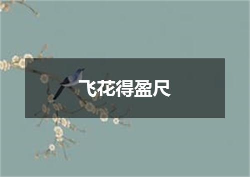 飞花得盈尺