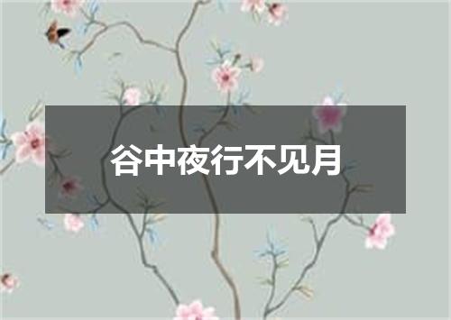 谷中夜行不见月