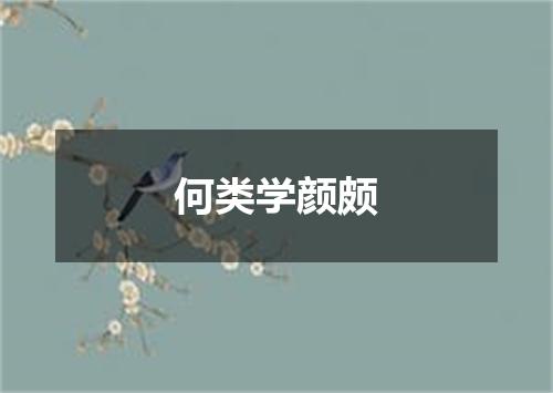 何类学颜颇