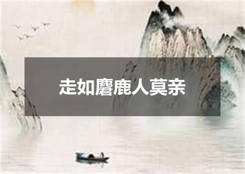 走如麏鹿人莫亲