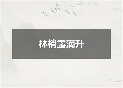林梢露滴升