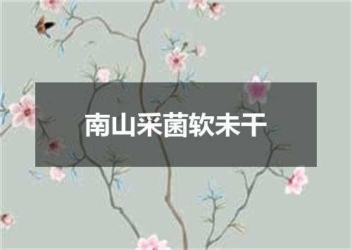 南山采菌软未干