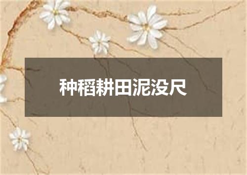 种稻耕田泥没尺