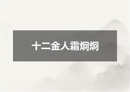 十二金人霜炯炯