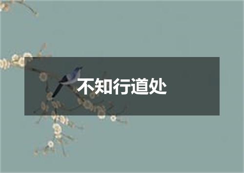 不知行道处