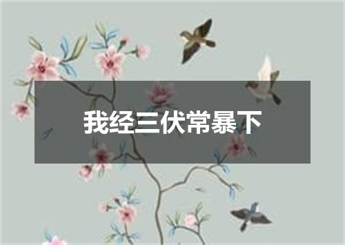 我经三伏常暴下