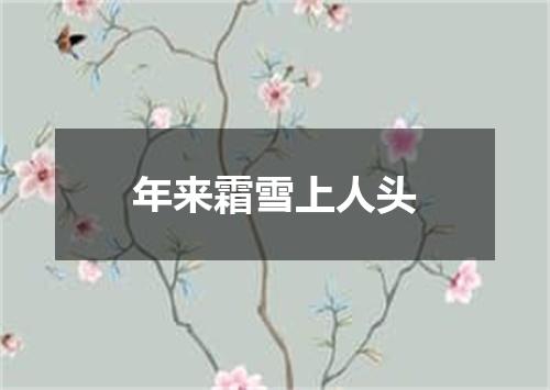 年来霜雪上人头