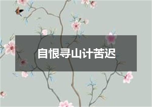 自恨寻山计苦迟