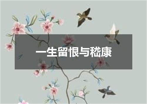 一生留恨与嵇康