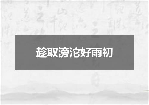 趁取滂沱好雨初