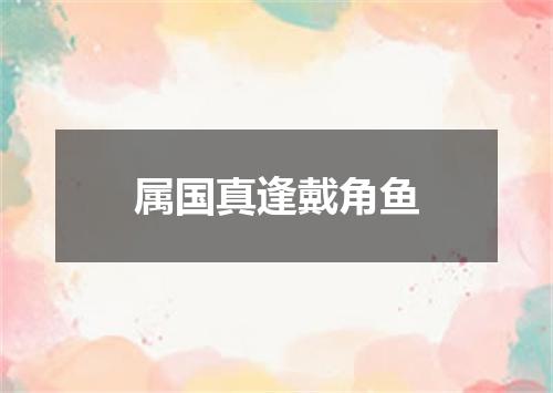 属国真逢戴角鱼