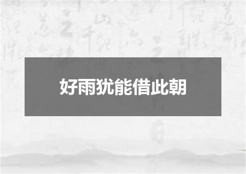 好雨犹能借此朝
