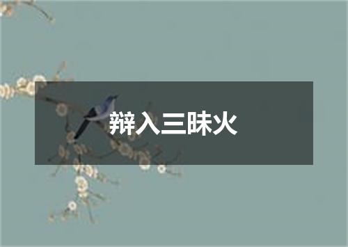 辩入三昧火