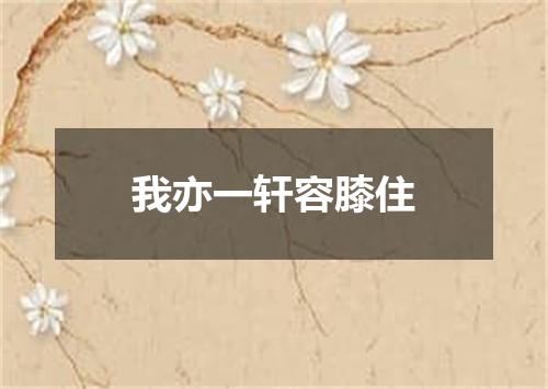 我亦一轩容膝住