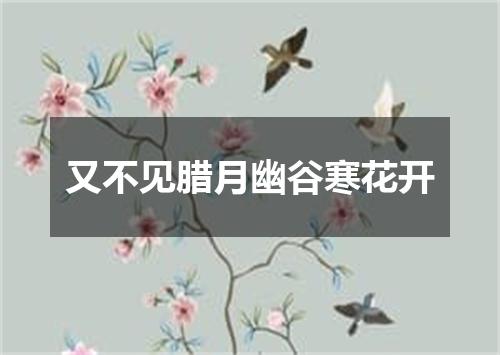 又不见腊月幽谷寒花开