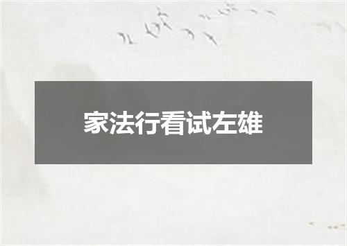 家法行看试左雄