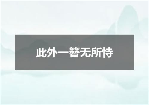 此外一簪无所恃