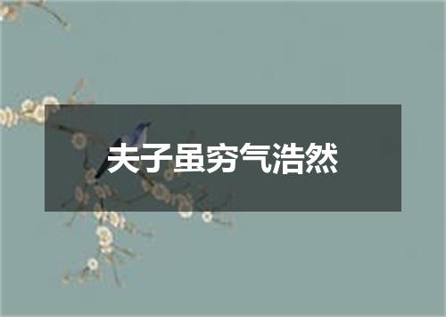 夫子虽穷气浩然