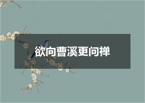 欲向曹溪更问禅
