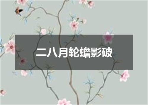 二八月轮蟾影破