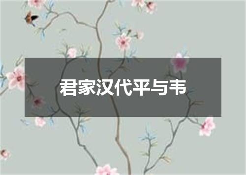 君家汉代平与韦