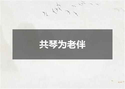 共琴为老伴