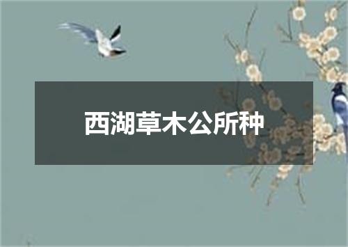 西湖草木公所种
