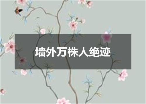 墙外万株人绝迹