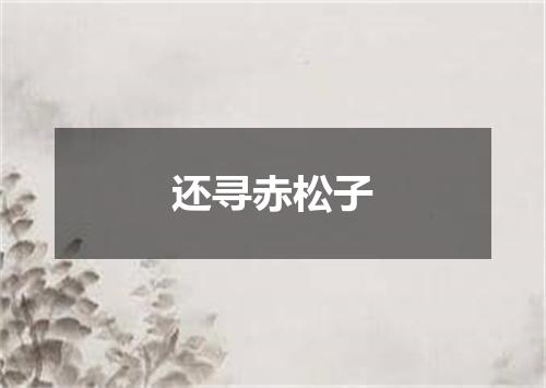 还寻赤松子