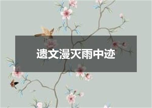 遗文漫灭雨中迹