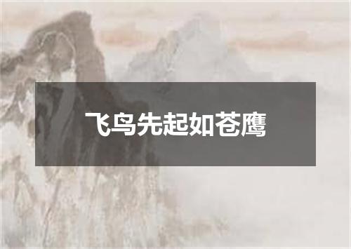 飞鸟先起如苍鹰