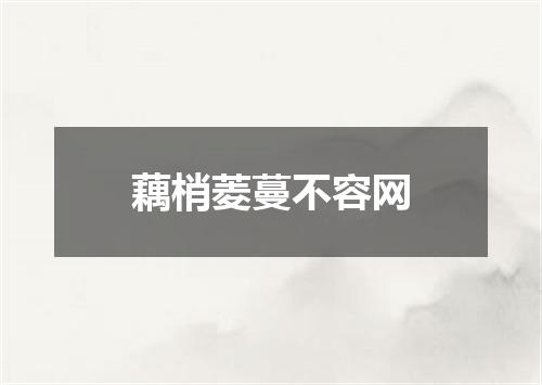 藕梢菱蔓不容网