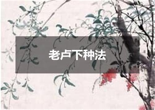 老卢下种法