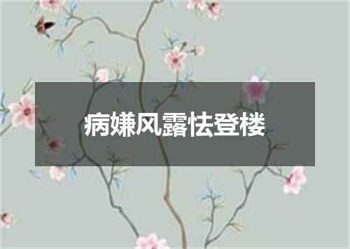 病嫌风露怯登楼
