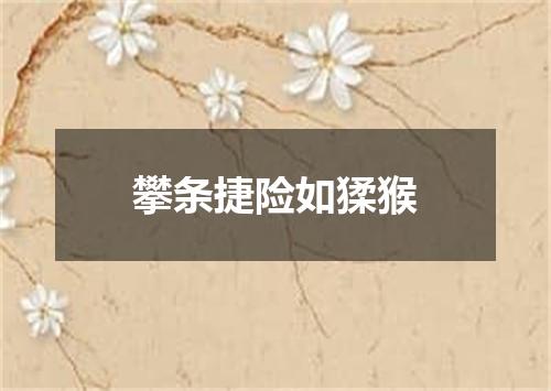 攀条捷险如猱猴