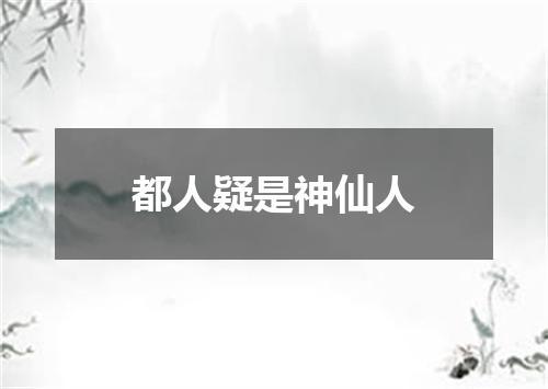 都人疑是神仙人