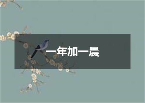 一年加一晨