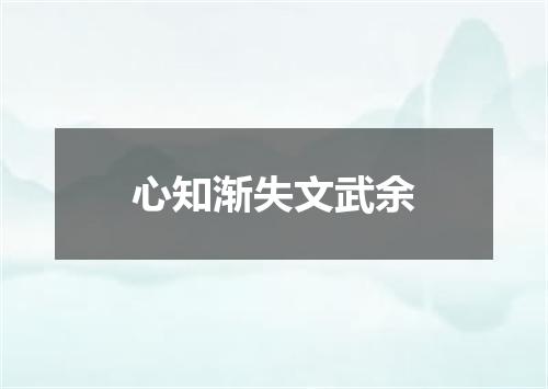 心知渐失文武余