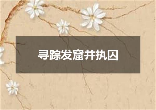 寻踪发窟并执囚
