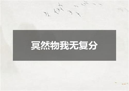 冥然物我无复分